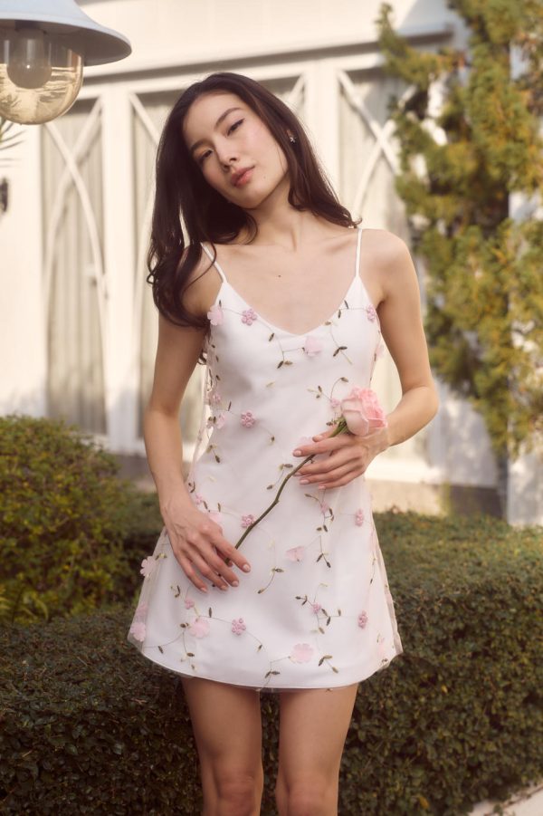 Cassandra mini dress